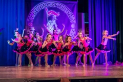 Faschingsauftakt2019-216