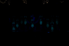 13-Inzinger-Garde-Show-03621
