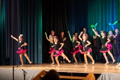 DSC04231