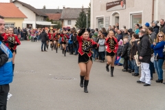 Faschingszug-102