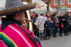 Faschingszug-115