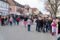 Faschingszug-16