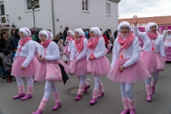 Faschingszug-168