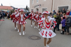 Faschingszug-184