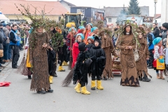 Faschingszug-187