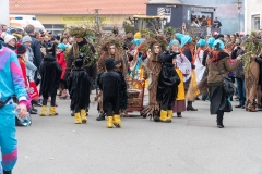 Faschingszug-194