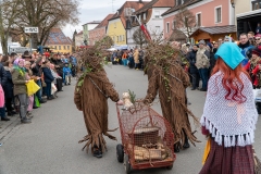 Faschingszug-201