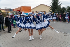 Faschingszug-221
