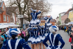 Faschingszug-233