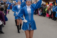 Faschingszug-248