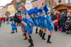 Faschingszug-250
