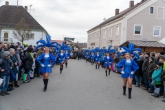 Faschingszug-256