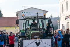 Faschingszug-340