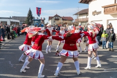 Faschingszug-363
