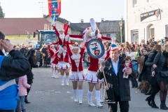 Faschingszug-368