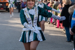 Faschingszug-384
