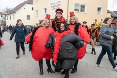 Faschingszug-40