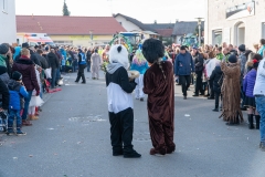 Faschingszug-401