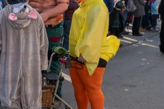 Faschingszug-403