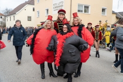 Faschingszug-41