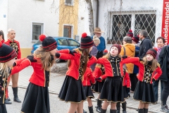 Faschingszug-45