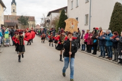 Faschingszug-53