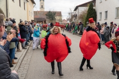 Faschingszug-57