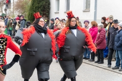 Faschingszug-61