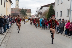 Faschingszug-71