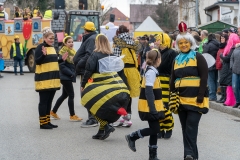 Faschingszug-77