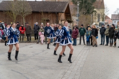 Faschingszug-81