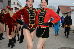 Faschingszug24_HP_-5200052
