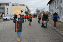 Faschingszug24_HP_-5200061