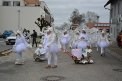 Faschingszug24_HP_-5200097