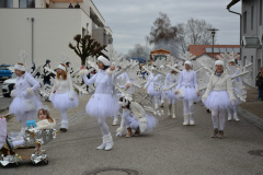 Faschingszug24_HP_-5200098