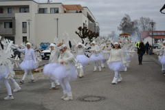 Faschingszug24_HP_-5200100