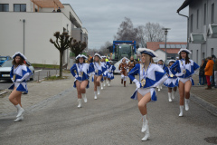 Faschingszug24_HP_-5200140