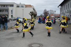Faschingszug24_HP_-5200166