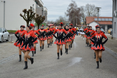 Faschingszug24_HP_-5200171