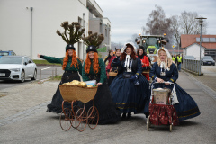 Faschingszug24_HP_-5200179