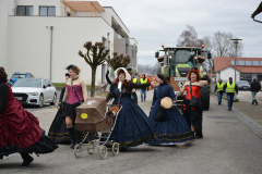 Faschingszug24_HP_-5200183