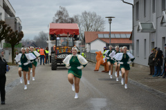 Faschingszug24_HP_-5200200