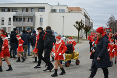 Faschingszug24_HP_-5200218