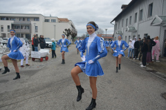 Faschingszug24_HP_-5200303