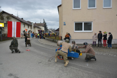 Faschingszug24_HP_-5200381