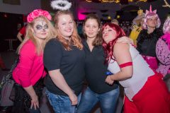 IMG_4977