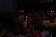 Weiberroas-05846